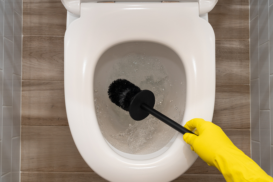 What Can I Use to Clean a Saniflo Toilet? The Full Guide Detailing How to  Clean a Saniflo Toilet